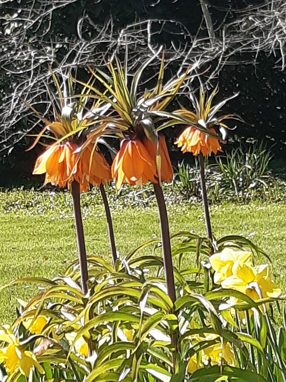 small_20250411_150319.jpg  